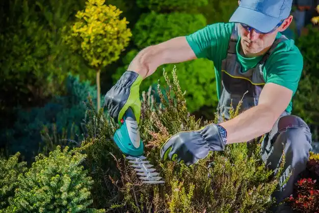 landscaping services Shawnee Hills